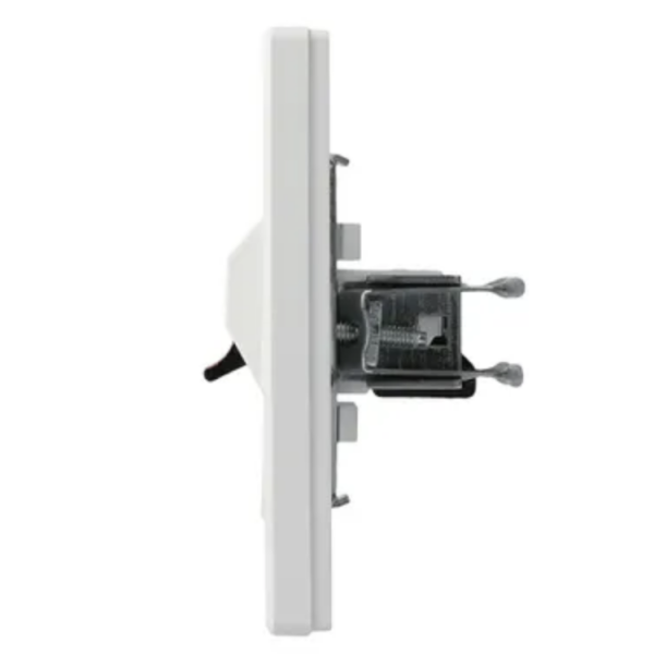 Schneider Asfora - Lautsprecherdose